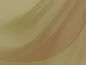 依赖分析的安全注意事项